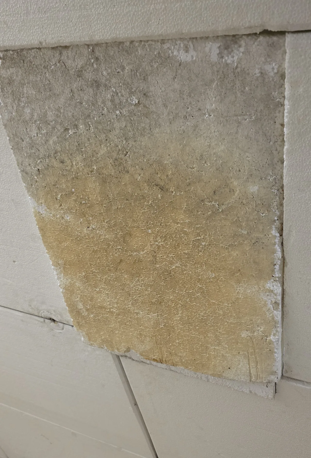 Rückseite einer herausgenommenen Dämmplatte aus Hartschaum, oben grau-schwarz, unten gelb-braun verfärbt, umgeben von hellen Dämmplatten