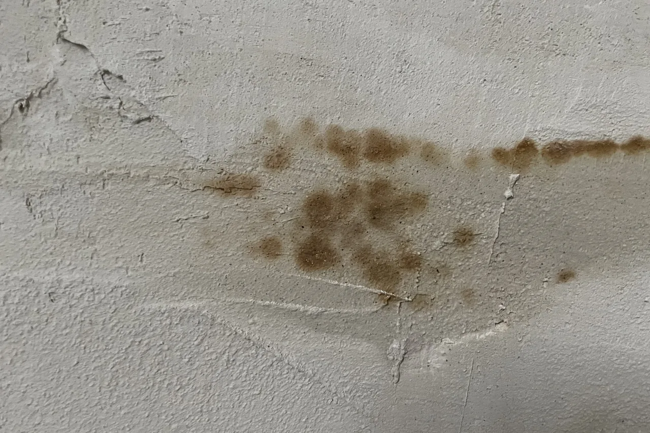 Verputzte Wand mit braunen, fleckigen Verfärbungen im unteren Bereich und feinen Rissen im Putz